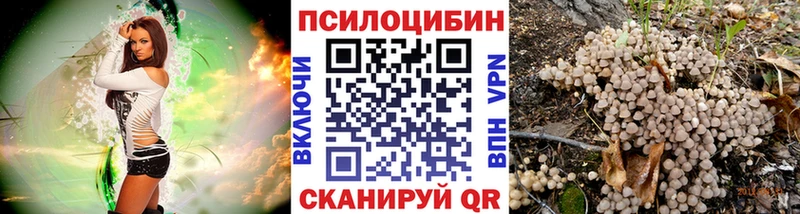 гидра онион  Астрахань  Галлюциногенные грибы ЛСД 