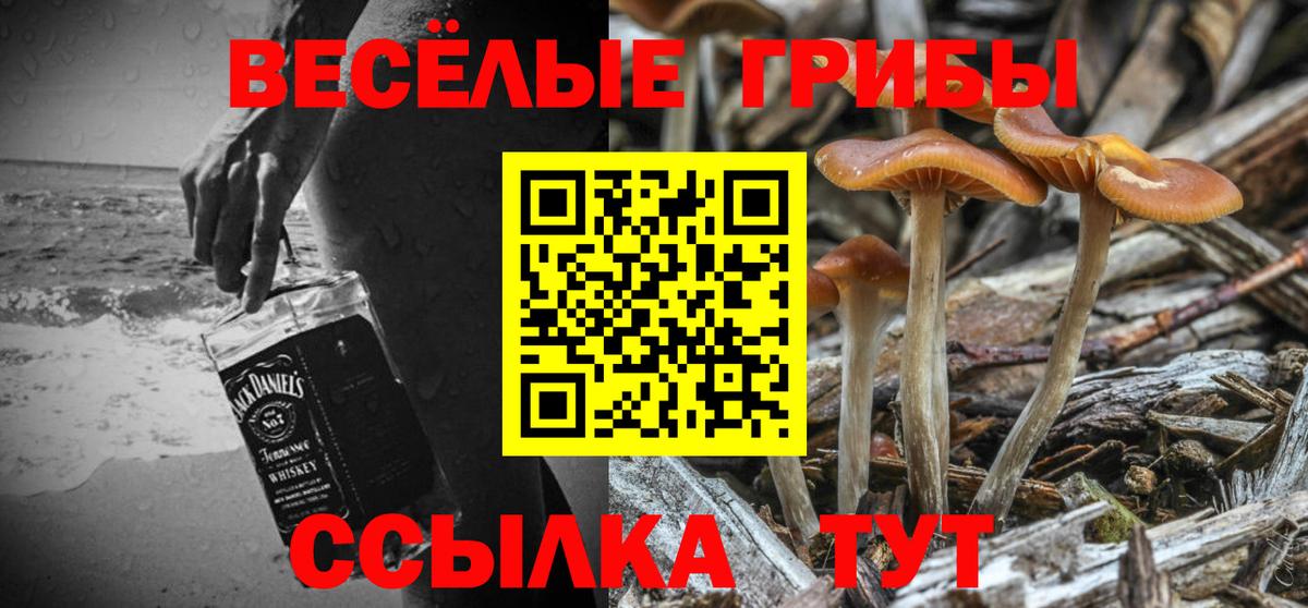Галлюциногенные грибы Cubensis Астрахань
