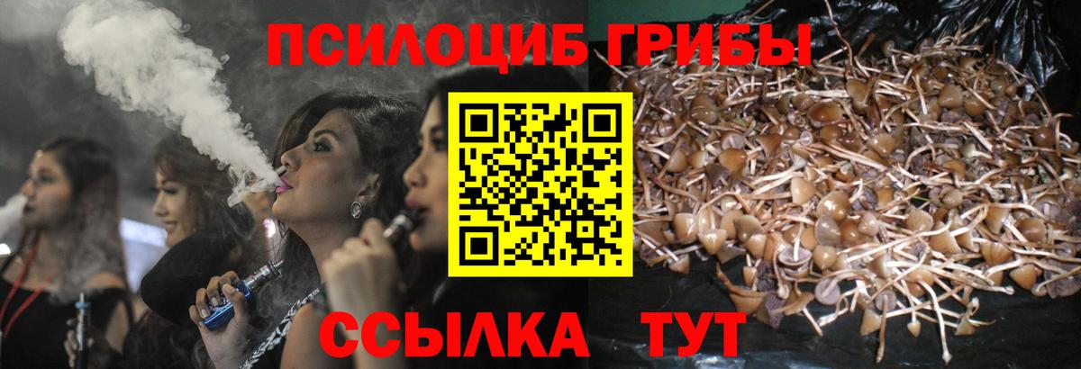 сколько стоит  Псилоцибиновые грибы Psilocybine cubensis  Вход с VPN  Астрахань 